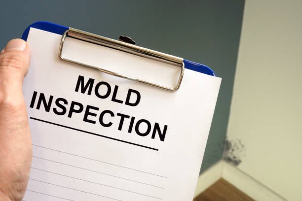  University Park, MD Mold Removal Pros